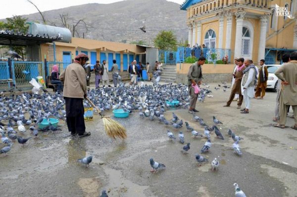 Afganistan ulica Ptaków