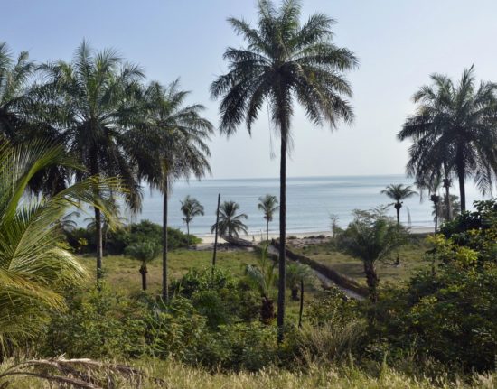 Gwinea Bissau Bijagos