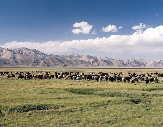 Kirgistan Warsztaty Fotograficzne