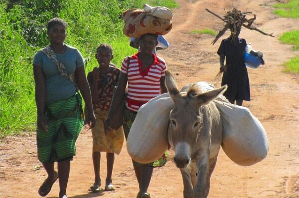mieszkańcy Afryki wyjazd Mozambik Suazi
