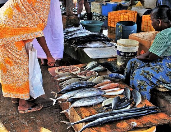 targi rybne na Sri Lance