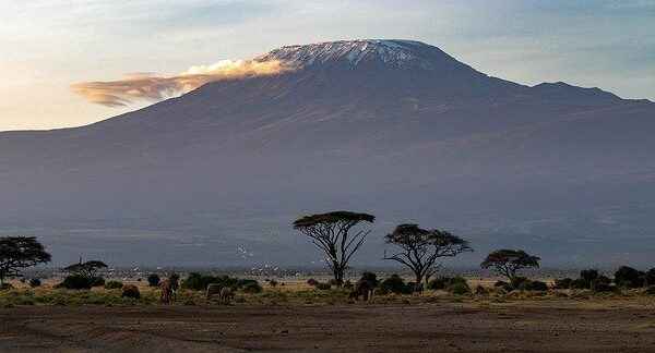 Park Narodowy Amboseli