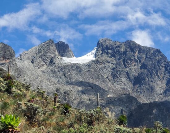 Ruwenzori Trekking