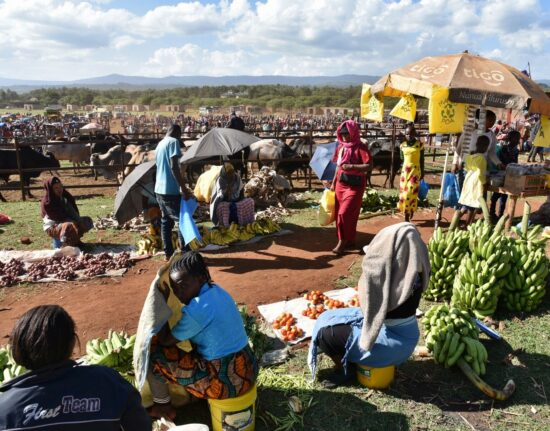 Bazar pod Kilimandżaro Tanzania Zanzibar 2021