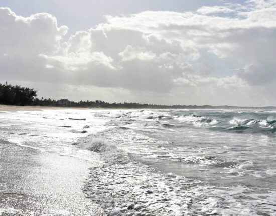 Tofo Beach Mozambik 2021