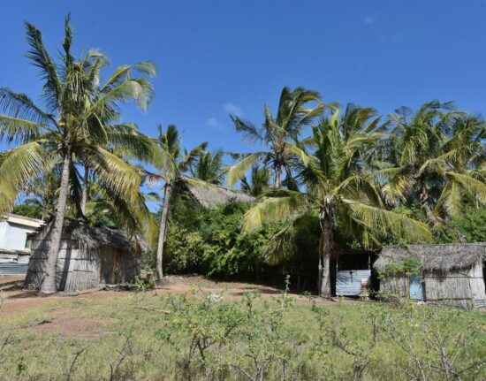 Tofo Beach Mozambik 2021