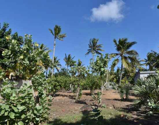 Tofo Beach Mozambik 2021