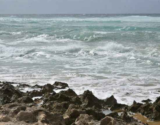 Tofo Beach Mozambik 2021