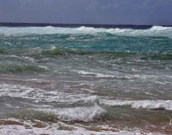 Tofo Beach Mozambik 2021