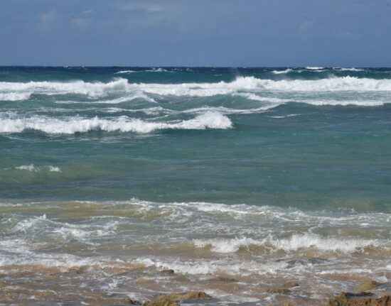 Tofo Beach Mozambik 2021