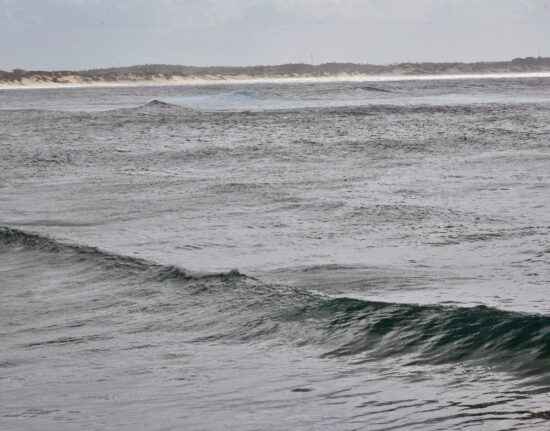 Tofo Beach Mozambik 2021
