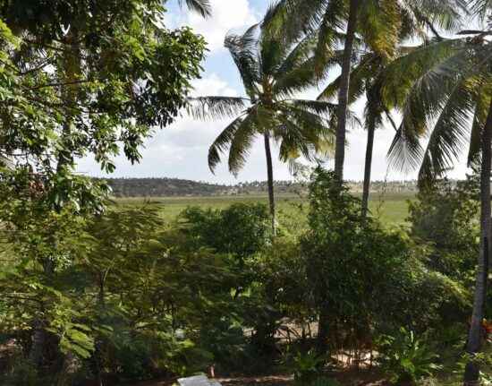 Tofo Beach Mozambik 2021