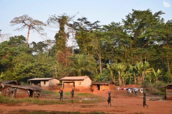 Bertoua Rejon Pigmejów Kamerun 2022