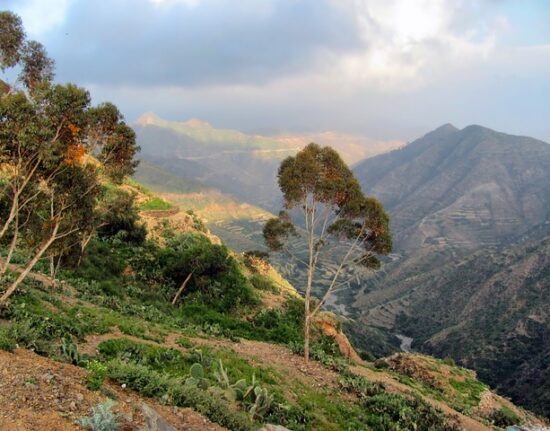 Krajobrazy Erytrei