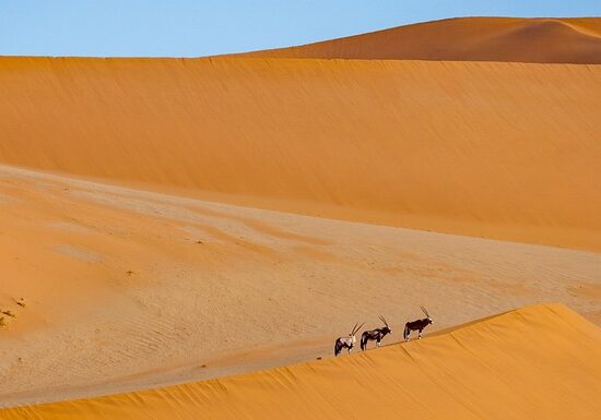 Namibia wyjazd