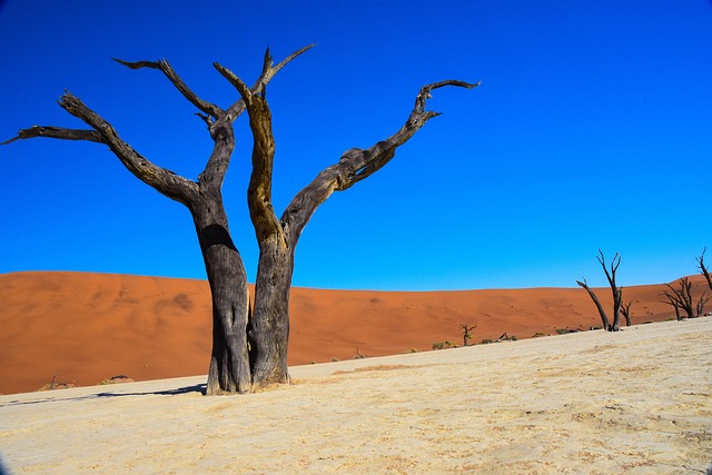 Namibia wyjazd