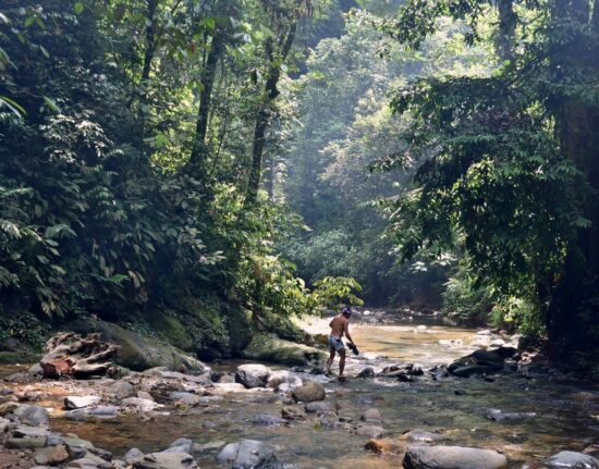 Gunung Leuser Park Narodowy Sumatra Indonezja 2023