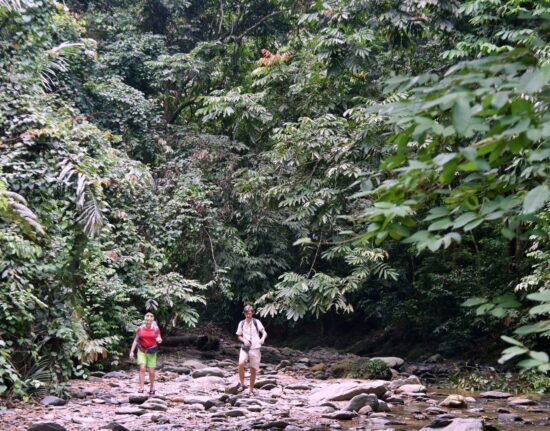 Gunung Leuser Park Narodowy Sumatra Indonezja 2023
