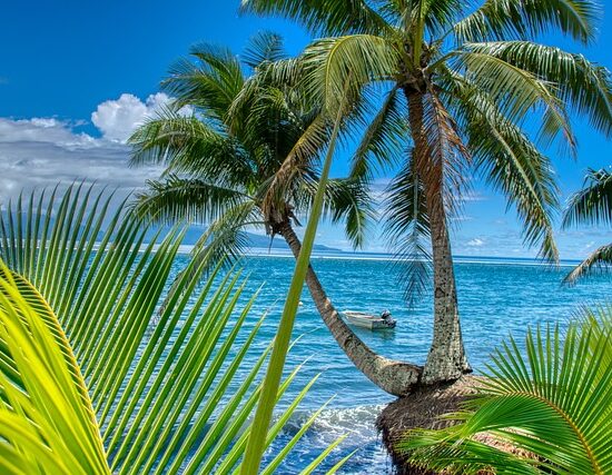 Polinezja Francuska Tahiti Moorea Bora Bora TIKEHAU