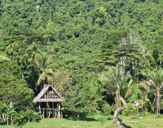 Podróż do Sepiku Papua Nowa Gwinea 2023