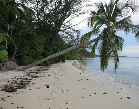Haiti Dominikana