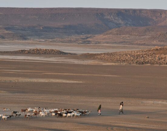 Jezioro Abhe Dżibuti Somaliland 2024Jezioro Abha Dżibuti Somaliland 2024