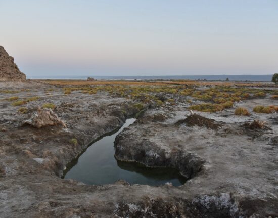 Jezioro Abhe Dżibuti Somaliland 2024