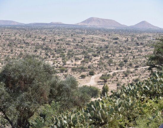 Laas Geel Dżibuti Somaliland 2024