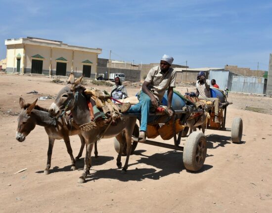 Hargeisa wycieczka do Dżibuti i Somalilandu 2024