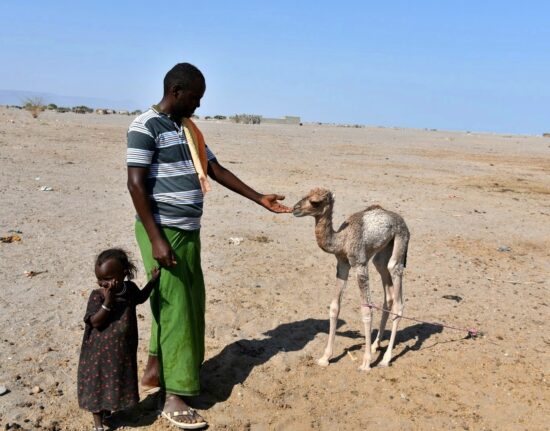Poza Trasą Dżibuti Somaliland 2024