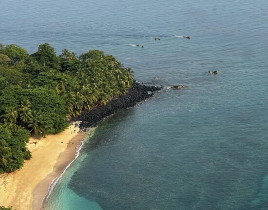 Przyroda Sao Tome e Principe Wyspy Świętego Tomasza i Książęca 2024_2