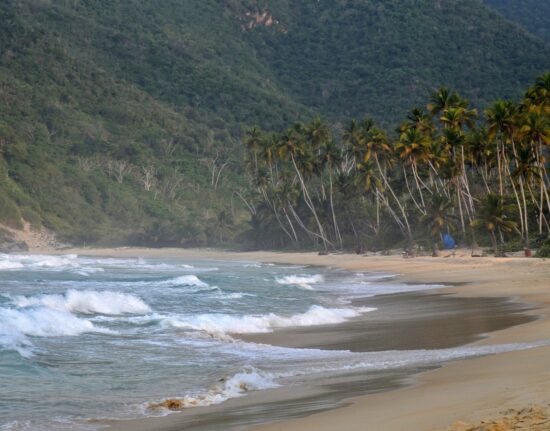 Playa Grande Choroni - Wenezuela 2024