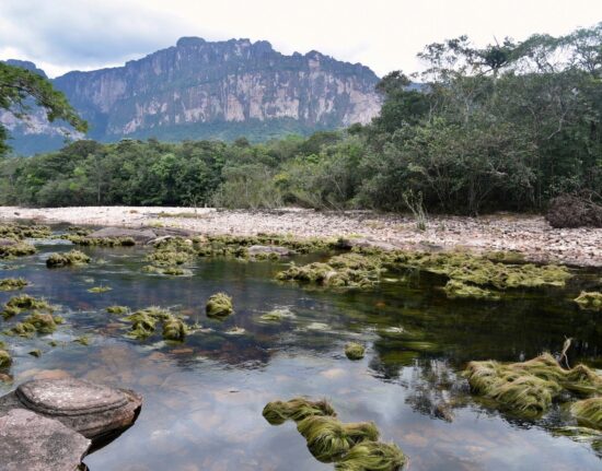 Park Narodowy Canaima - Wenezuela 2024