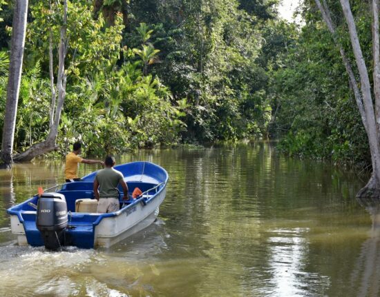 Rzeka Orinoko - Wenezuela 2024