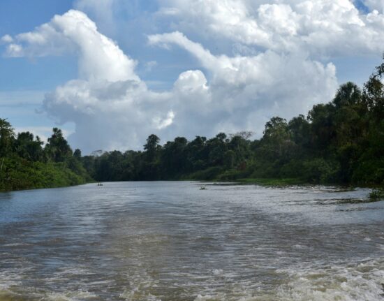 Rzeka Orinoko - Wenezuela 2024