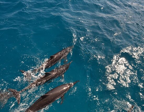 Paragwaj Brazylia Fernando de Noronha i Wodospady Iguazu