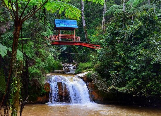 Malezja Brunei Wyspa Borneo