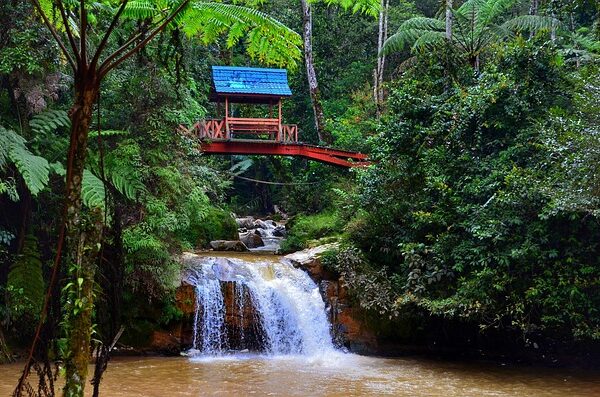 Malezja Brunei Wyspa Borneo